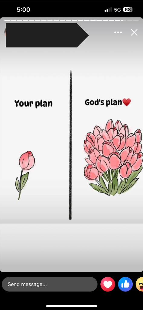 An illustration contrasting 'Your plan' with a single pink flower and 'God's plan' with a bouquet of pink flowers, symbolizing the difference between personal aspirations and divine guidance.